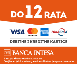 Banca Intesa Logo